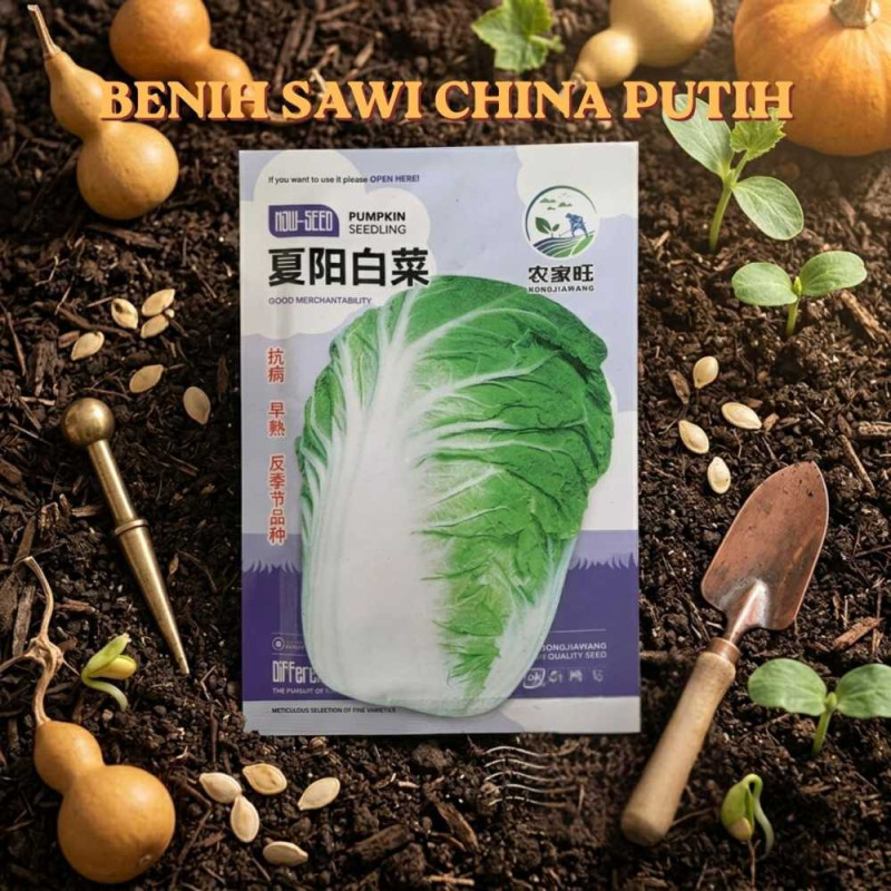 Benih Sawi China Putih