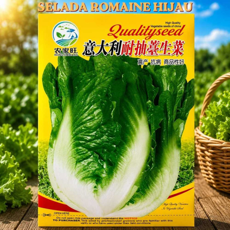 Benih Selada Romaine Hijau