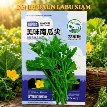 Benih Daun Labu Siam