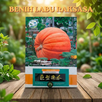 Benih Labu Raksasa