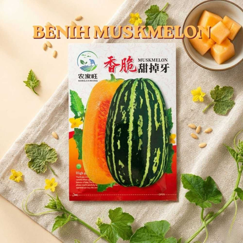 Benih Melon Manis (Muskmelon)