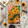 Benih Bunga Rudbeckia