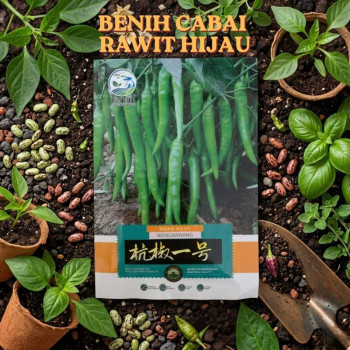 Benih Cabai rawit Hijau