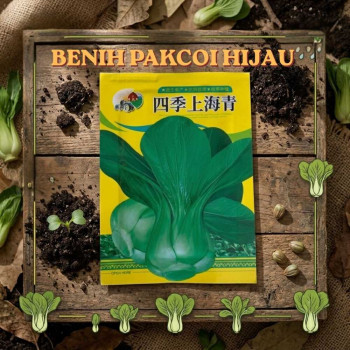 Benih Pakcoi Hijau