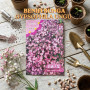 Benih Bunga Gypsophila Ungu