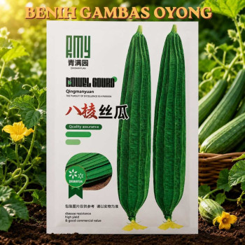 Benih Gambas Oyong
