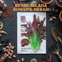 Benih Selada Romaine Merah