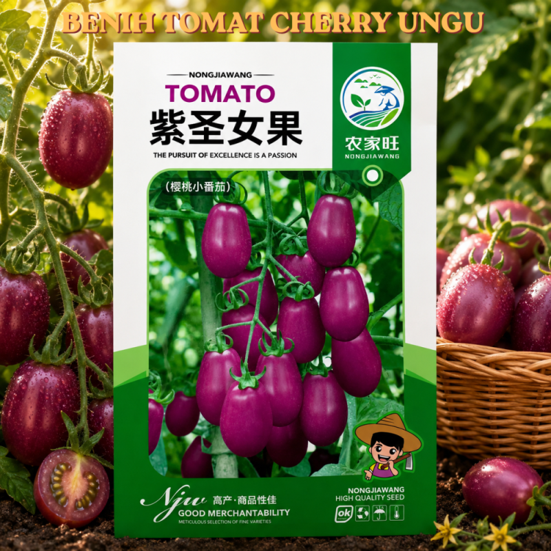 Benih Tomat Cherry Ungu
