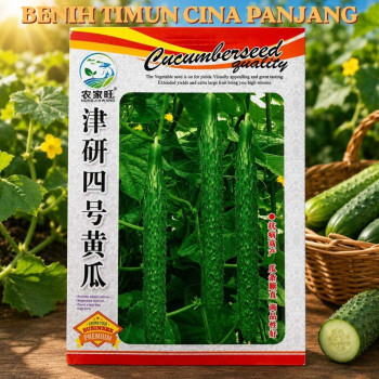 Benih Timun Cina Panjang