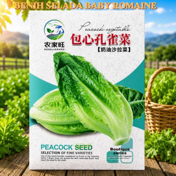 Benih Selada Baby Romaine
