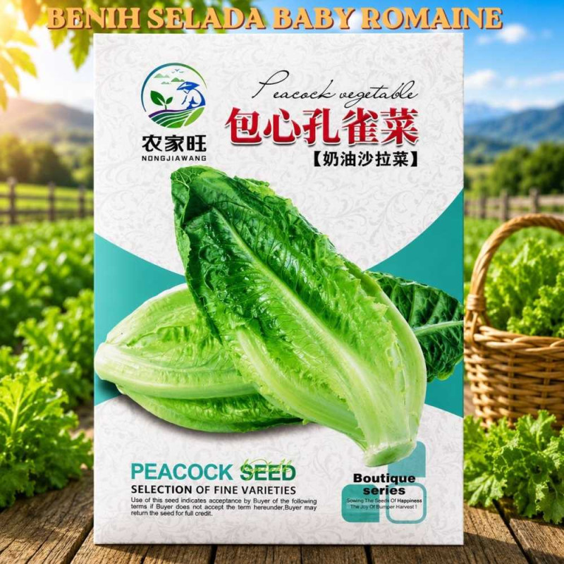 Benih Selada Baby Romaine