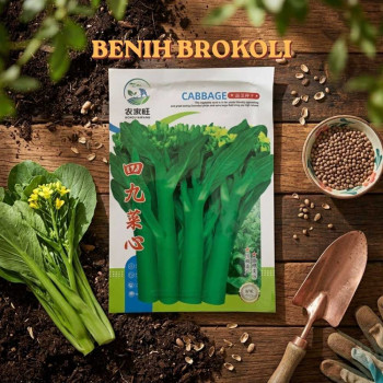 Benih Brokoli