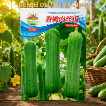 Benih Oyong Bastar