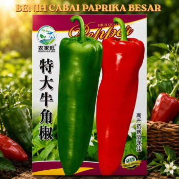 Benih Paprika Besar