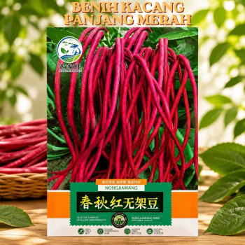 Benih Kacang Panjang Merah