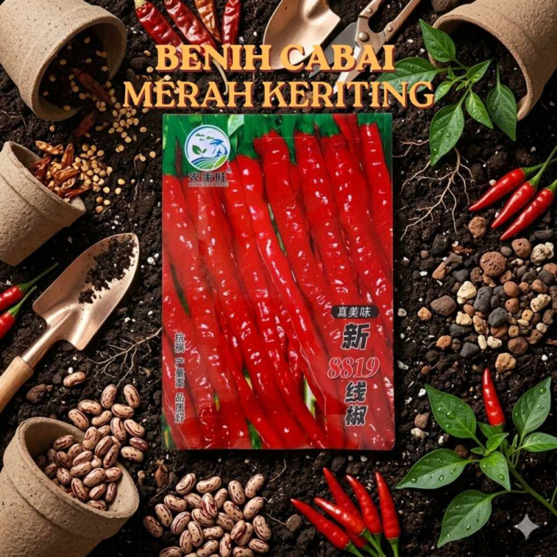 Benih Cabai Merah Keriting