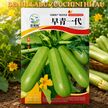 Benih Labu Zucchini Hijau