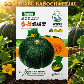 Benih Labu Kabocha Hijau
