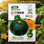 Benih Labu Kabocha Hijau