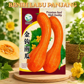 Benih Labu Madu Butternut