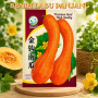 Benih Labu Madu Butternut