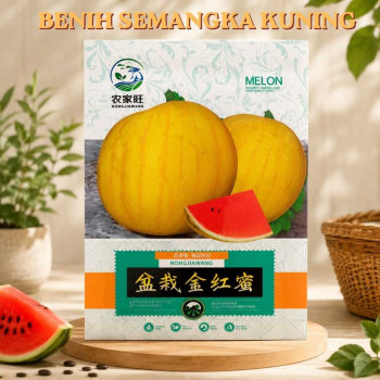 Benih Semangka Kuning Kulit Emas
