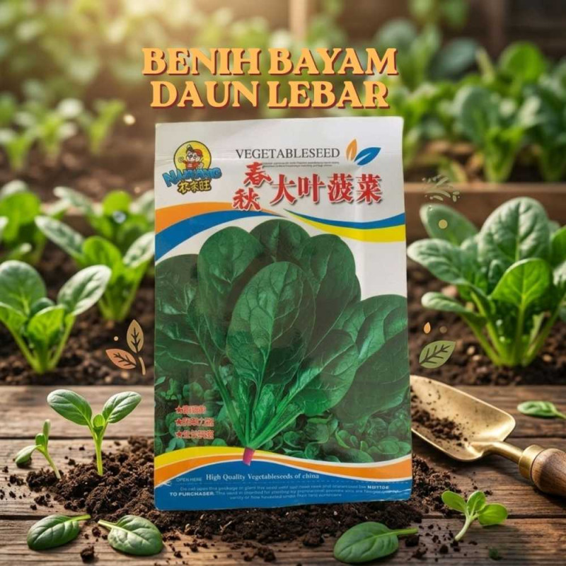 Benih Bayam Daun Lebar