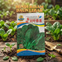 Benih Bayam Daun Lebar