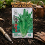 Benih Selada Cina Manis