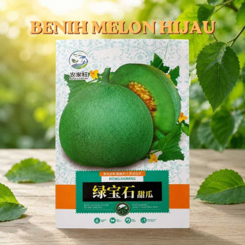 Benih Melon Hijau​