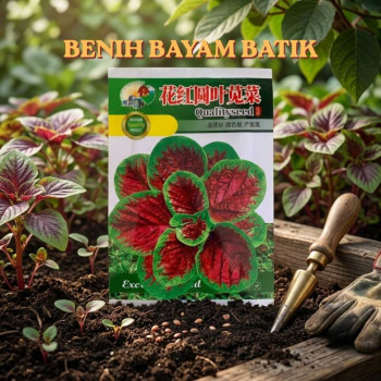 Benih Bayam Batik