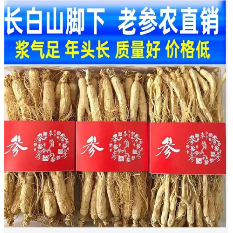 Ren Shen - Chang Bai Ginseng 500gram Ren Shen - Chang Bai Ginseng 500gram